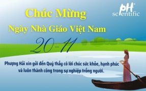 Kỷ niệm Ngày Nhà giáo Việt Nam 20/11 – Tri ân những người lái đò thầm lặng